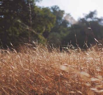 刀客客场绝杀，晋级之路坦途畅通排名上升